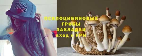 Альфа ПВП Балабаново