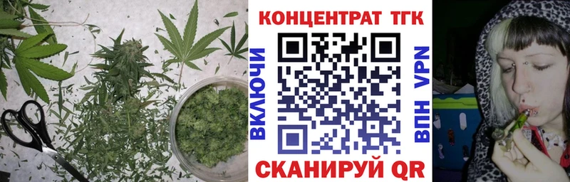 ТГК концентрат  Сретенск 