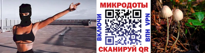 Псилоцибиновые грибы Psilocybe  сколько стоит  Сретенск 